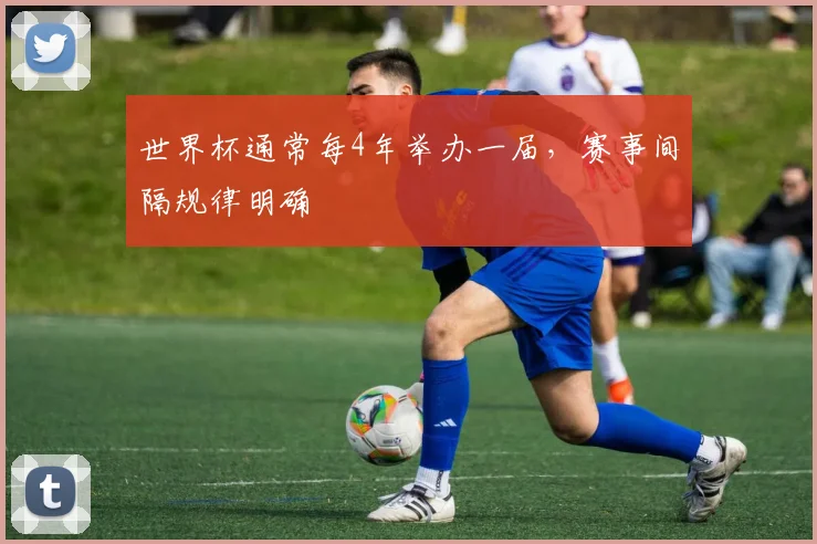 世界杯通常每4年举办一届，赛事间隔规律明确