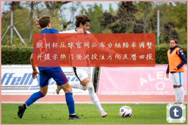欧洲杯压球官网公布分组赔率调整并提示热门场次投注方向及潜回报